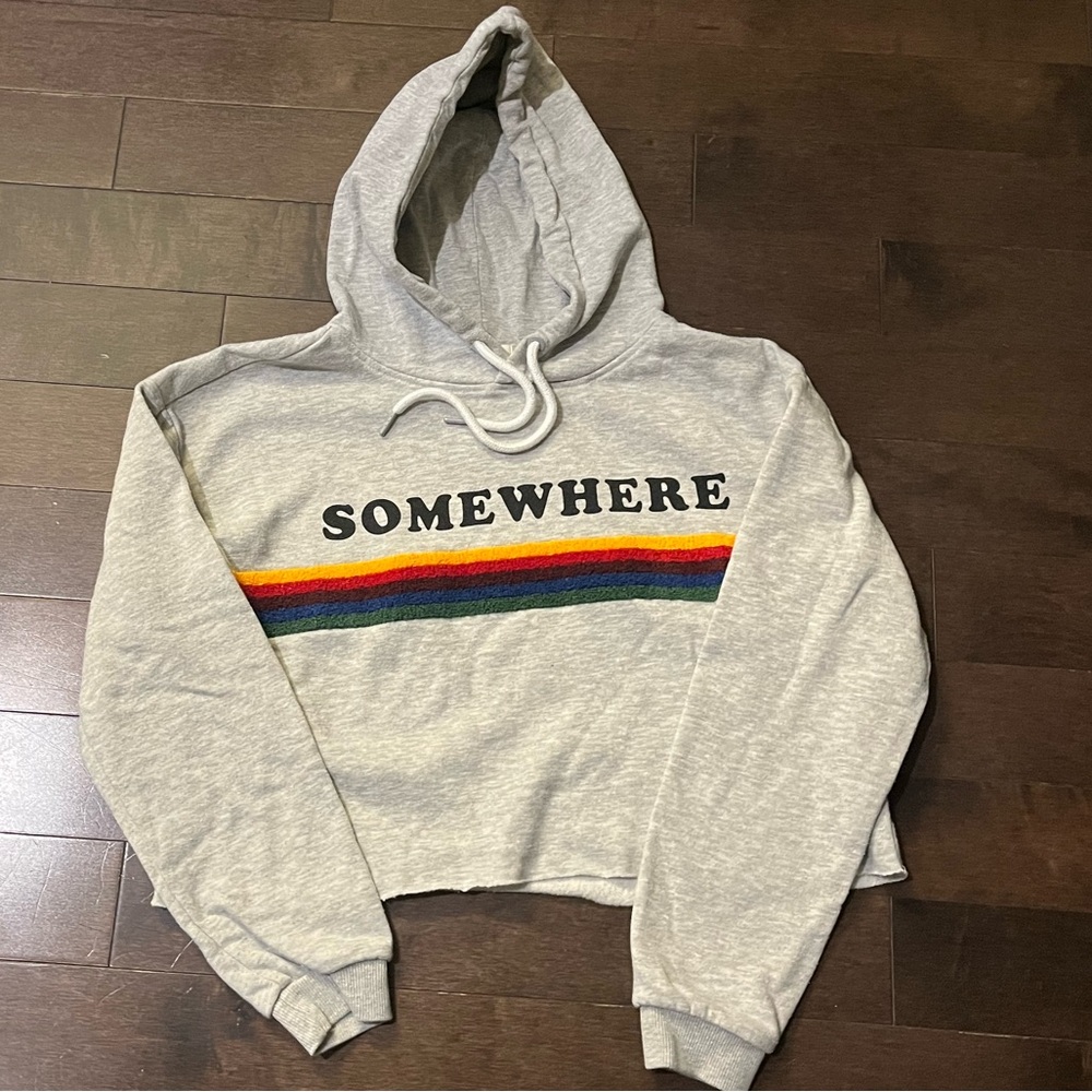 Gray Crop Hoodie with “over the Rainbow” Stripe